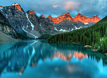 两起宝可梦卡牌盗窃案：逾30万美元稀有收藏品被盗